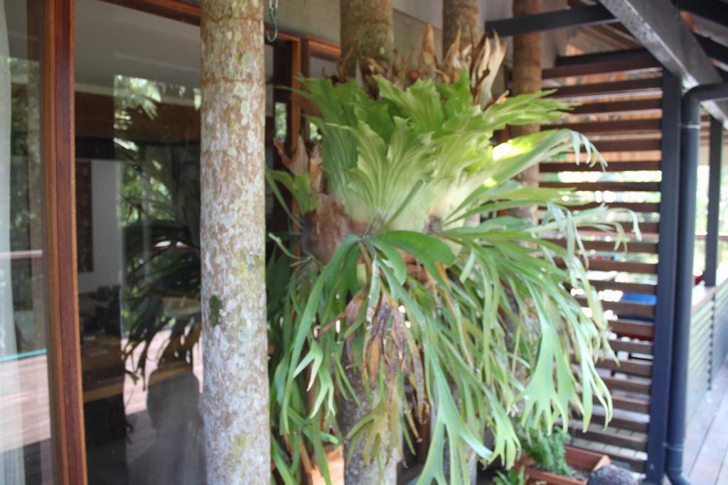 Pk Illusions Apartment Maleny Exterior photo