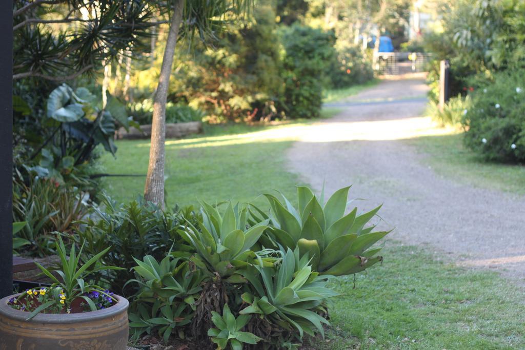Pk Illusions Apartment Maleny Exterior photo